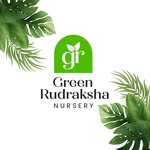 Green Rudraksha